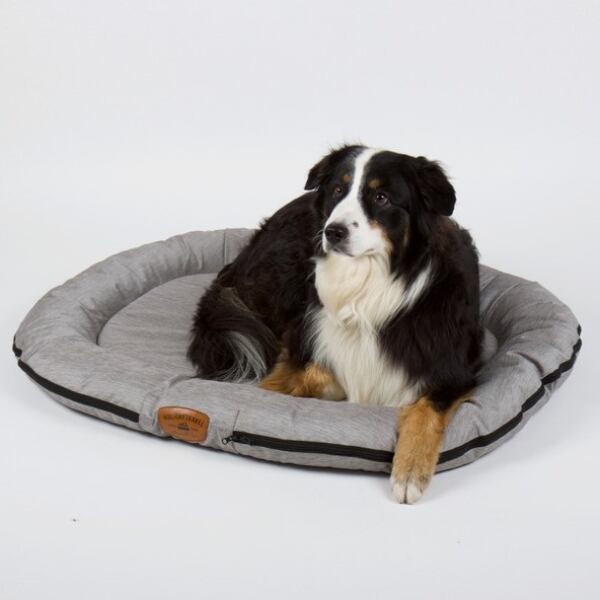 Pelech pro psa Holiday Travel