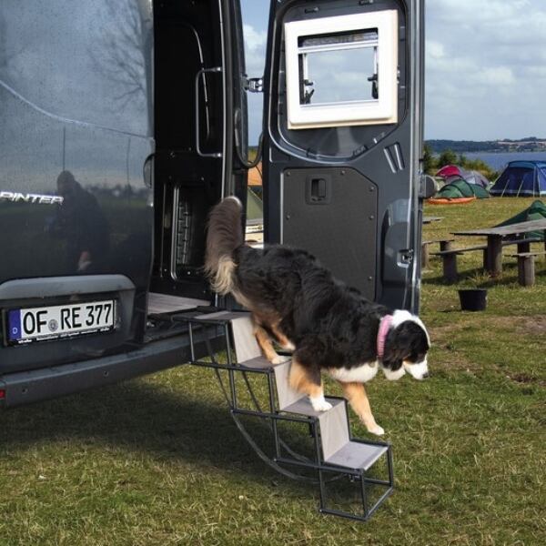 Schody pro psy Camp4 Jill