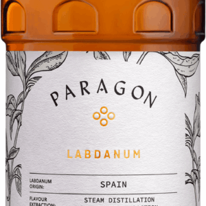 Monin Paragon Mystic Collection Labdanum 0,485l