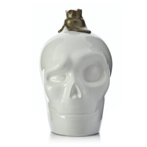 Cab Ron 40% 0,7l (holá lahev)